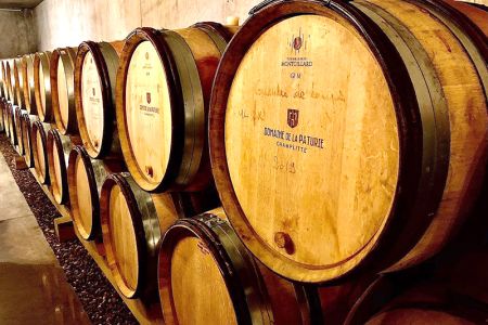 Flavors and expertise